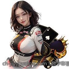 数字彩票追号软件免费版数据安全保障